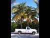 Palm Beach